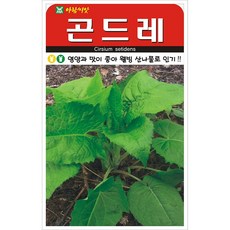 아람종묘 곤드레 씨앗 100립, 1개