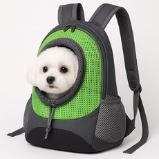 BNP_2001 소형견 강아지 고양이 메쉬 백팩, 그린, 1개