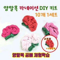 양말목 카네이션 대량 DIY 키트 가정의달 어버이날기념 공예작품 (10개단위 : 10%할인 사은품10+1), 임의색상 (10개)+사은품(1개 색상랜덤)