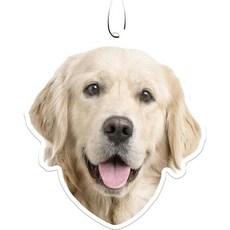 스푼틱 빅 풋 방향제, Golden Retriever