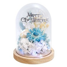 (TD) 프리저브드 겨울꽃 아크릴돔 만들기 - 1인세트