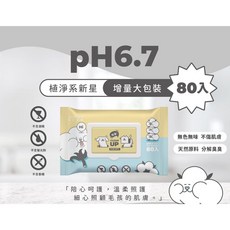 NUKUPET 陪心植淨 潔膚抑菌濕巾 pH6.7 80入, 1個