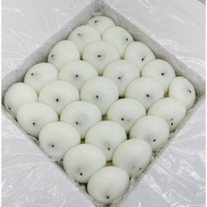 백미 잔기지떡 한박스 기정떡 술떡 기증떡 증편 아침식사대용 선물, 작은박스(30개입), 흰+옥수수, 1.5kg