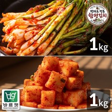 전라도전통함평김치 파김치1kg+깍두기1kg 국내산재료 당일제조 바르겟, 2kg, 1박스