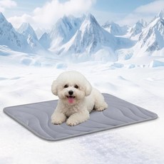 코지사이드 반려견 쿨링 매트 Q-Max0.45 얇은 소형견용 통기성 사계절용 워셔블 리버서블 패드 28 L x 22 W 다크 그, 28" x 22", Light Grey