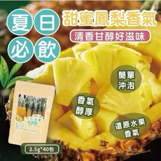 鳳梨冰茶(青茶) 夏日消暑好滋味 簡單沖泡 2.5g*40包, 1個