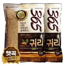 현대농산 수입 귀리, 2개, 5kg