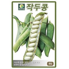 팜앤리빙 흰작두콩 씨앗 5립 작두콩, 2개