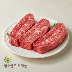 서경한우 50개월령이내 암소한우 1++등급(9)(8)(7) 부채살 400g, 단품, 단품