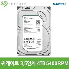 씨게이트 CCTV 녹화용 3.5인치 4TB 하드디스크 5400RPM 256MB HDD ST4000VX016