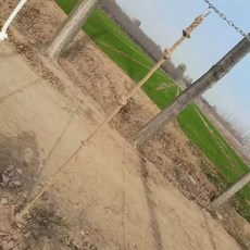 원형 해먹 그네 놀이터 흔들 안뜰 침대 정원 마당 대형 카페 캠핑장 파란색 캠핑 체어, 1개, 삼베 로프 2m