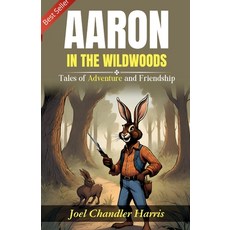(영문도서)Aaron in the Wildwoods Paperback, DD Sales and Distributors, English, 9789359575759