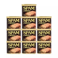 CJ제일제당 스팸 클래식 340g x 10개