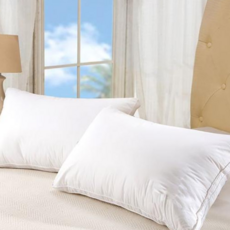 호텔 펜션 숙박 사계절 베개솜 50x70_WAD433A, 본상품