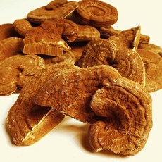 일본산 영지버섯 1kg (100g x 10팩), 10개, 상품 상세페이지 참조