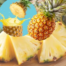 스위티오 골드 파인애플 필리핀 pineapple, 1개, 특대과 3입
