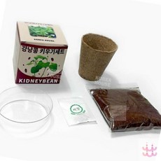 3보급창고 식물키우기 실내식물키우기