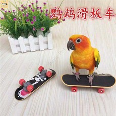 【熱銷！臺灣出貨】寵物鳥 烏龜滑板 陸龜滑板 烏龜玩具 迷你滑板 滑板 益智玩具 滑板玩具, 1個, 小號（滿100元才會出貨）