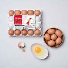 가농 1+등급 특란 20구(무항생제 당일산란 발송), 1개, 20구