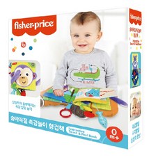 피셔프라이스 숨바꼭질 촉감놀이 헝겁책, 혼합색상, 1개