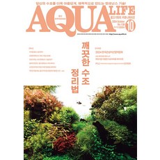 2024년 아쿠아라이프 10월호 [깨끗한 수조 정리법], 단품, 단품