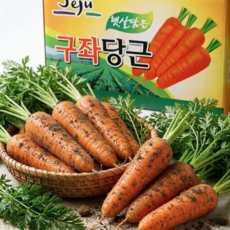 [신선배송특가] 제주 구좌 흙 당근, 1개, 5kg(특)