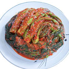 돌산댁 주문제작 국산 전라도 여수 갓김치, 1kg, 1개