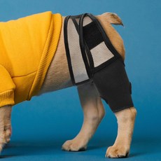 예방 강아지 통깁스 슬개골 고관절 보호대 스트랩 S 탈골, 단품