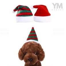 YM 강아지 고양이 산타모자 소형견