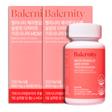 밸러니티 체지방감소엔 슬림핏 가르시니아 다이어트 보조제 HCA1200, 2개, 90정