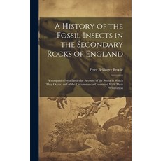 (영문도서) A History of the Fossil Insects in the Secondary Rocks of England: Accompanied by a Particula... Hardcover, Legare Street Press, English, 9781020282409