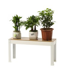 홈치치 화분 선반대 받침대 진열대, 1단, 화이트 600