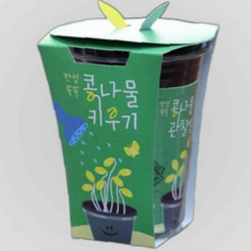 새싹키트 시루 관찰일지 재배 한컵쑥쑥 콩나물키우기, 본상품
