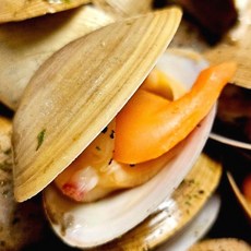 산지 직송 남해안 명품 생물 명주조개 해감 후 출고 갈미조개 노랑조개, 1개, 명주조개 1kg 15미내외