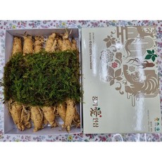 (실속형선물포장) 6년근A급 풍기인삼도매 500g(23-24뿌리내외) 정품6년근 현대만석인삼사, 500g, 3세트