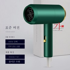 DFMEI 헤어 드라이어 음소거 헤어 케어 음이온 가정용 헤어 드라이어 저전력 500W 헤어 드라이어, 다크그린 1800W [블루라이트 헤어케어]