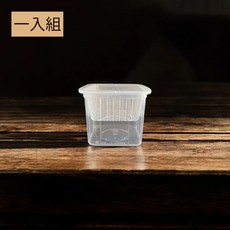 水培種植盒 斑啾植選, 1個, 一入組