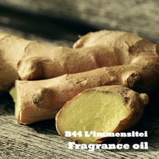 프래그런스 오일 B44 리멍시테 디퓨저 향수 우아한생강향, 1개