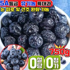 5A등급 건조 블루베리 100% 프리미엄 건조 블루베리 무설탕 특급 무설탕 반건조 블루베리 건조과일 유기농 말린 무가당 건블루베리 사은품 랜덤 증정, 3개, 250g