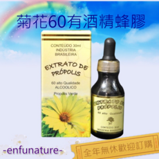 恩福 巴西綠蜂膠 菊花牌 60 有酒精 6瓶優惠組, 1個