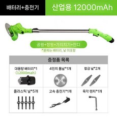 잔디깎기 풀 충전식 제거 잔디 모터 소형 전동 풀깍기 무선 예초기 제초기, 1. 12V 잔디깎이+합금날(전기1개)