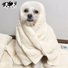 초코펫하우스 몬스터 펫타올 (베이지) (중형), 1개