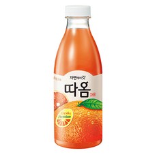 빙그레 따옴 자몽 아이스보냉백포장, 2개, 730ml