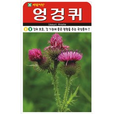 세인화분 엉겅퀴 100립 - 국산 재래종 씨 씨앗, 2개
