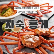 동해안 고급홍게( 10~12마리 3kg내외 A급) nys+981fi, 1