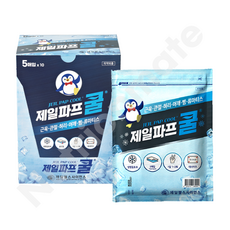 제일파프 쿨 붙이는파스 통증완화 효과, 5매입, 12개