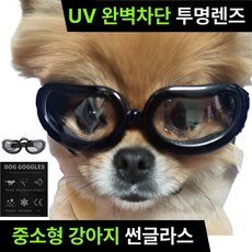 미닝바이 중소형 강아지 반려견 UV차단 사이즈조절 ABS고글, 시크블랙(투명렌즈), 1개