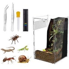DELORIGIN 점핑 거미 인클로저 아크릴 통기성 곤충 테라리움 파충류 서식지 액세서리 점프 타란툴라 사마귀 달팽이 소라게 도마뱀용 15.2 x 25.4cm6 6 10인치 1, DELORIGIN 점핑 거미 인클로저 아크릴 통기성 곤
