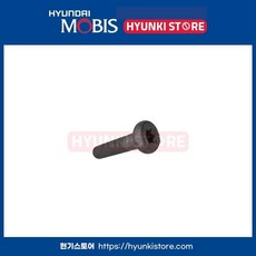 현대 기아 순정 볼트 플랜지 별육각 별각 볼트 51735B1500 51735-B1500, 호환 차종, 8개