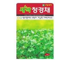 SN월드 새싹 씨앗, 1개